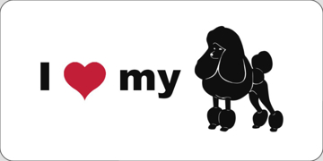 Picture of Animal 39174944