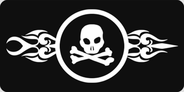 Picture of Skull 17533180