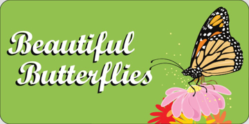 Picture of Butterflies 17355073