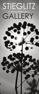 Picture of Business Banners 42398664