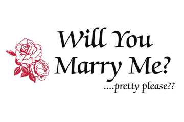 Picture of Wedding 15849471