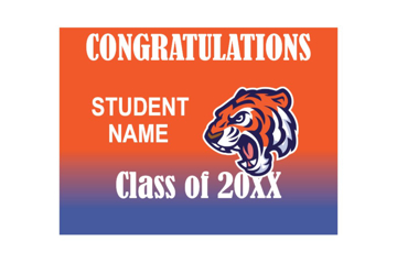 Picture of Other Education Levels 878537082