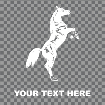 Picture of Cowboys Window Clings 12736357