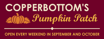 Picture of Halloween 14979063