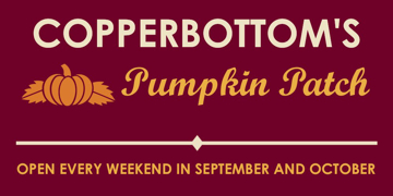 Picture of Halloween 16939773