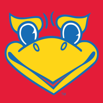 Picture of University of Kansas 5424011