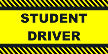 Picture of Business #1