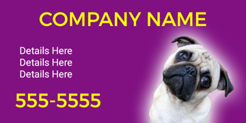 Picture of Pet Care 12