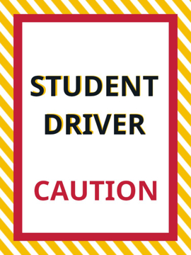 Picture of 24" x 18" Student Driver 4