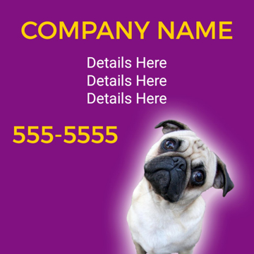 Picture of 24" x 24" Pet Care 12