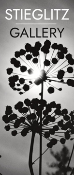 Picture of Retail 42398708