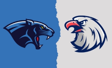 Picture of House Divided