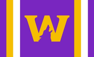 Picture of Sports Flag 5