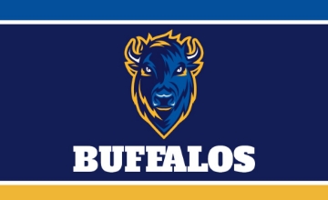 Picture of Sports Flag 8