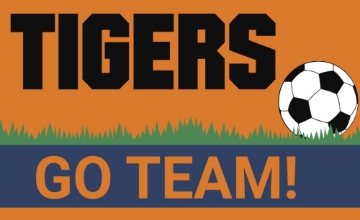 Picture of Sports Flags 879515404