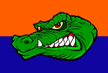 Picture of Sports Flag 2 - 2x3