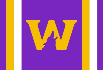 Picture of Sports Flag 5 - 2x3