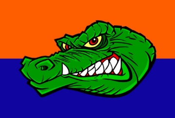 Picture of Sports Flag 2 - 4x6