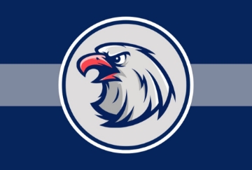 Picture of Sports Flag 6 - 4x6