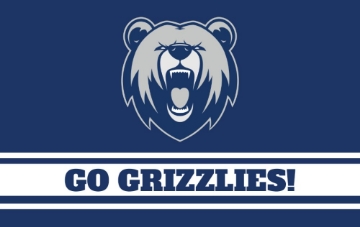 Picture of Sports Flag 1- 5x8