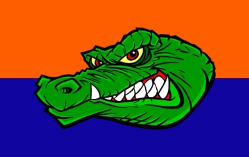 Picture of Sports Flag 2- 5x8