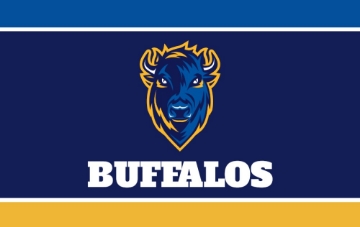 Picture of Sports Flag 8- 5x8