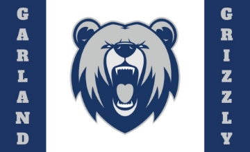 Picture of School Flag 3