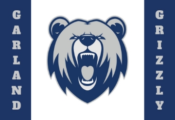 Picture of School Flag 3- 2x3