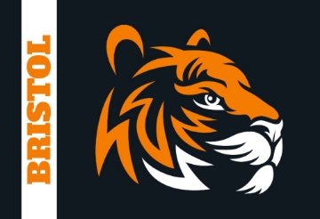 Picture of School Flag 6- 2x3