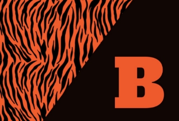 Picture of School Flag 5- 4x6