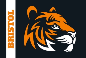 Picture of School Flag 6- 4x6