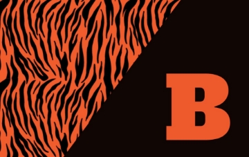 Picture of School Flag 5- 5x8