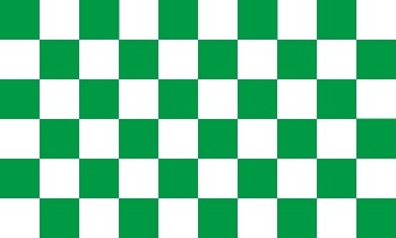 Picture of Green/White Checkered Flag