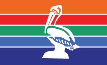 Picture of St. Petersburg, FL Flag