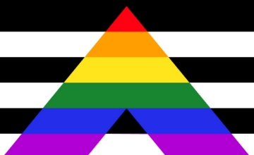 Picture of Straight Ally Pride Flag