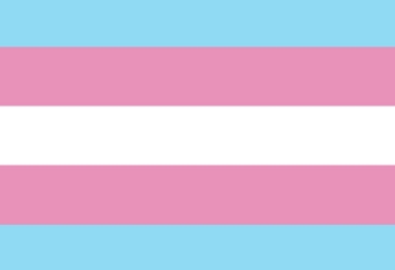 Picture of Trans Pride Flag- 2x3