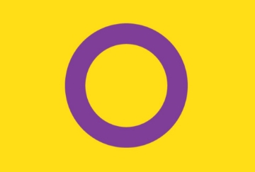 Picture of Intersex Pride Flag- 4x6