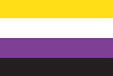Picture of Non-Binary Pride Flag- 4x6