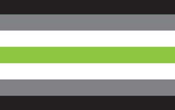 Picture of Agender Pride Flag- 5x8
