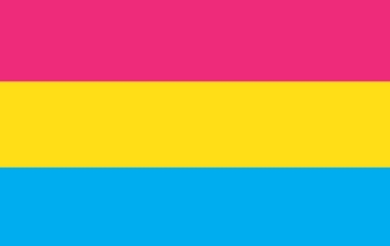 Picture of Pansexual Pride Flag- 5x8