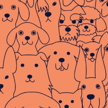 Picture of BC - Animals & Pet Care 8 - 2.5" x 2.5" Double Sided