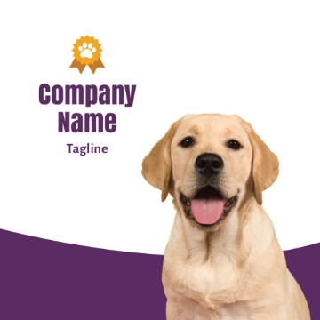 Picture of BC - Animals & Pet Care 12 - 2.5" x 2.5" Double Sided