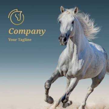 Picture of BC - Animals & Pet Care 13 - 2.5" x 2.5" Double Sided