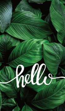 Picture of BC - Beauty & Spa 1 - 3.5" x 2" Double Sided