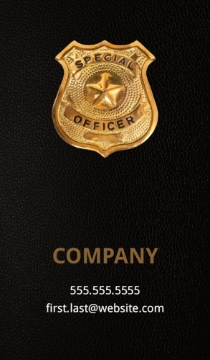 Picture of BC - Law, Public Safety & Politics 12 - 3.5" x 2" Double Sided